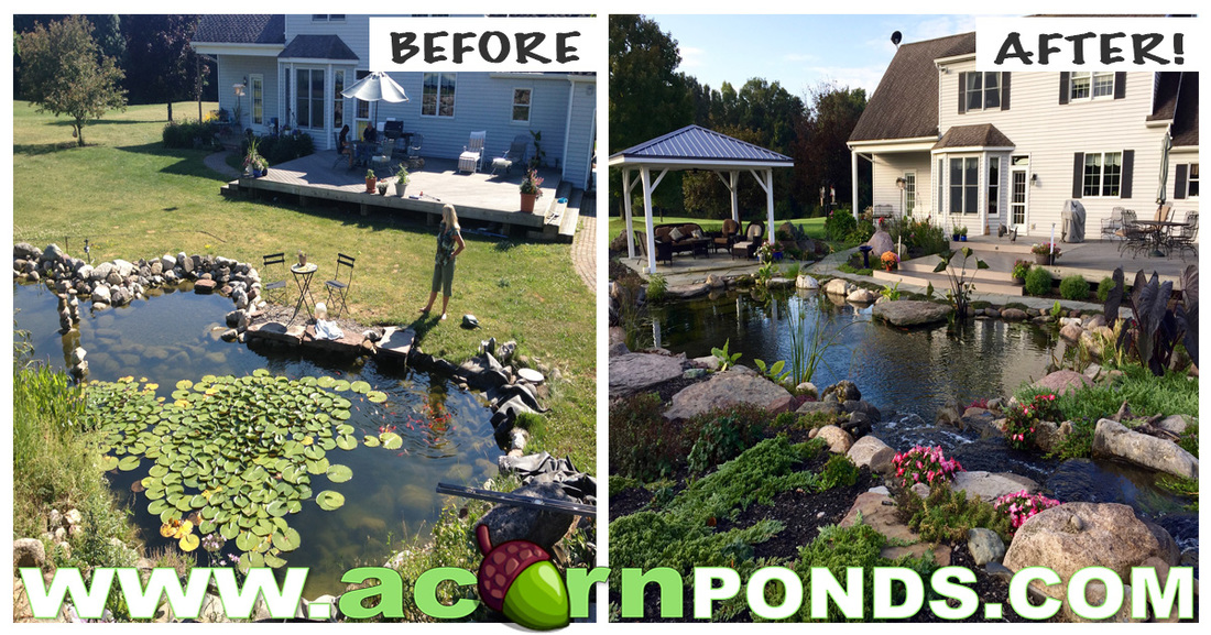  Pond Repair & Renovation Specialists - Acorn Ponds 585-442-6373
