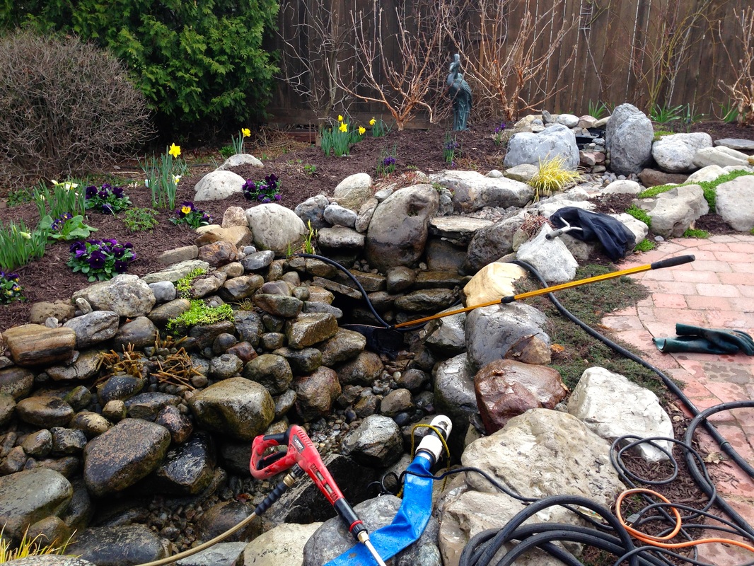 Spring Pond Cleaning & Start Up Services - Call Acorn Now!