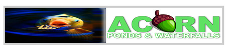 Fish Pond Repair & Replacement Contractors - Acorn Ponds & Waterfalls of Rochester (NY)