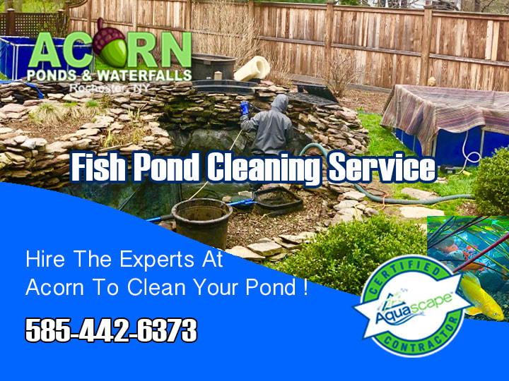 Pond Cleaning Contractors- Hire The Experts-Rochester NY-Acorn Ponds