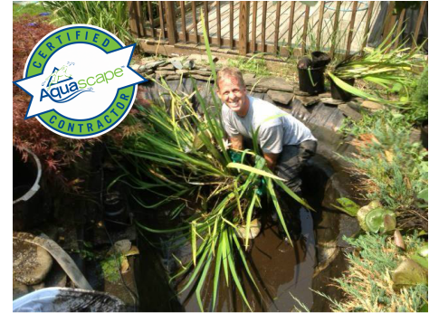 Pond Cleaning Contractor Of Rochester New York (NY) - Acorn Ponds & Waterfalls