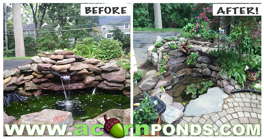 Pond Renovation & Repair Services - ACORN 585-442-6373