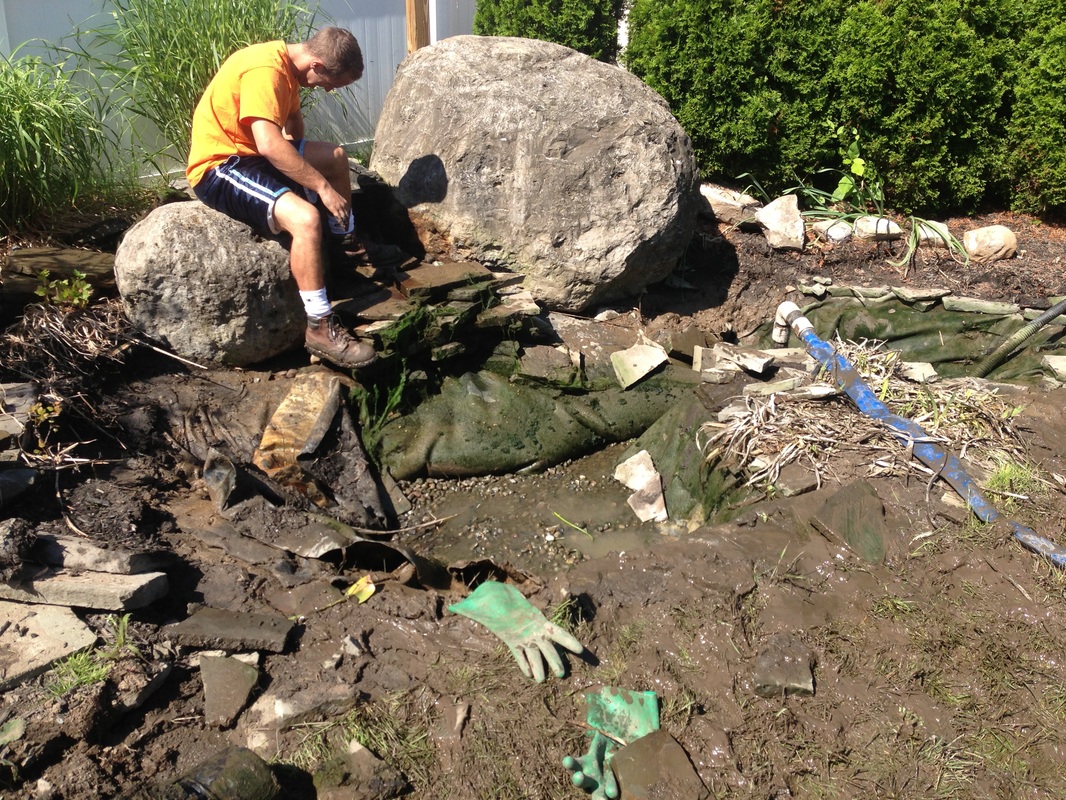 Hire A Certified Pond Contractor To Fix Your Pond In Rochester (NY) - Acorn