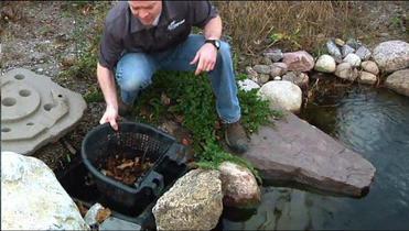 Pond Skimmers Will Reduce Your Water Garden Maintenance - Learn More