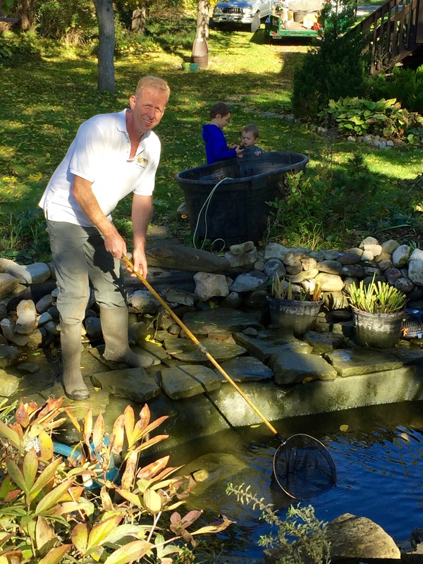 Look No Further For Professional Pond Services In Western NY Acorn 585-442-6373