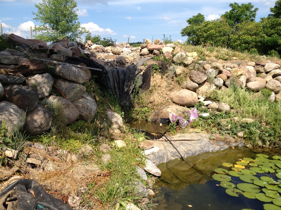 Whether Your Waterfall or Pond Needs a Small Repair or a Full Renovation, Acorn Can Help!