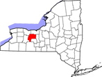 Acorn’s Pond-Waterfall Leak Detection & Repair Service In Ontario County New York (NY) 