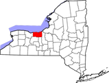 Acorn’s Pond-Waterfall Leak Detection & Repair Service In Wayne County New York (NY) 