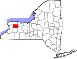 Acorn’s Pond-Waterfall Leak Detection & Repair Service In Genesee County New York (NY) 