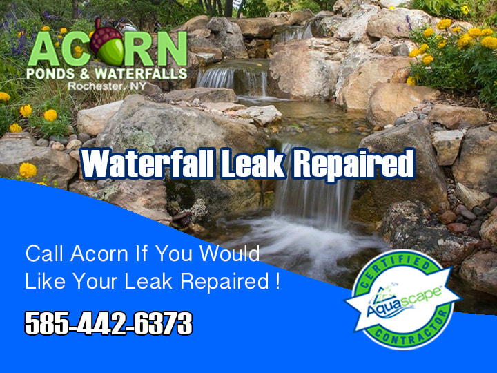 Don’t Delay-Call Acorn Now To Fix Your Waterfall-Pond-Rochester New York