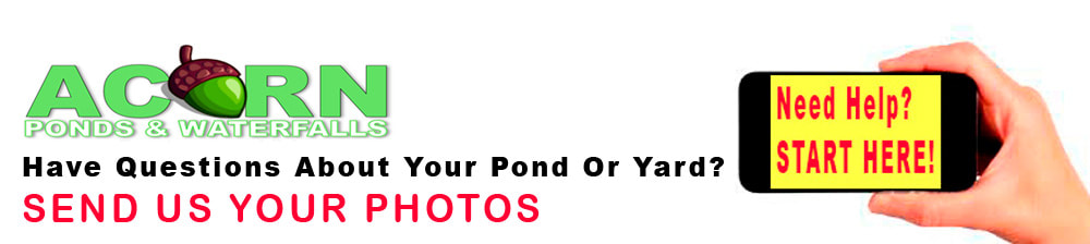 Get Pond Service Now ! Contact Acorn Ponds & Waterfalls 585-442-6373