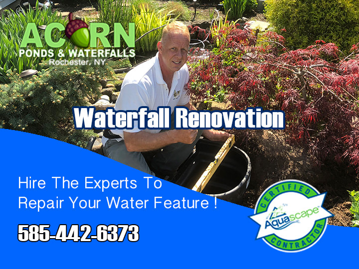 Hire The Pros At Acorn To Repair Your Waterfall-585-442-6373-Rochester NY