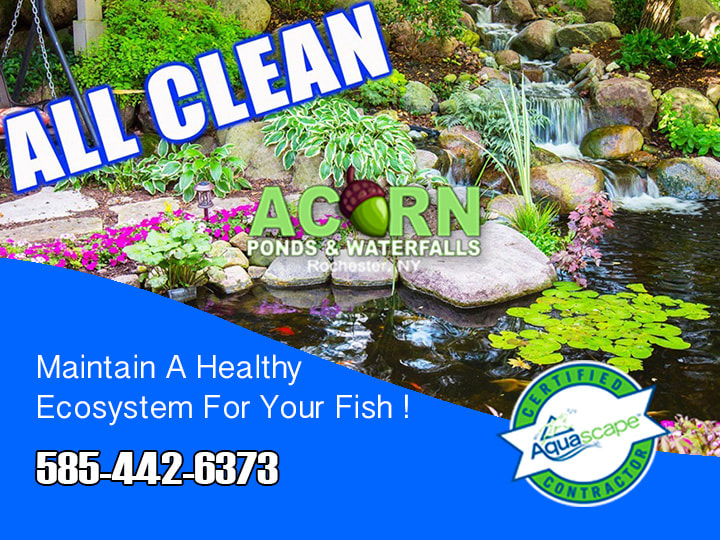 Pond Cleaning-Power Washing – Call 585-442-6373 – Acorn Pond & Waterfalls