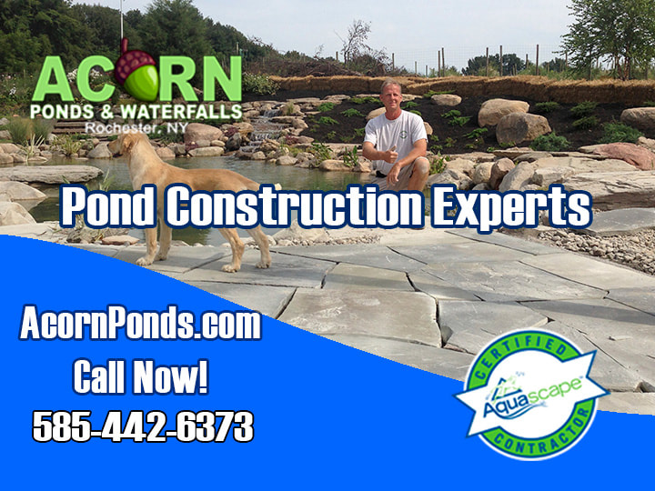 Rochester New York Pond Maintenance Services - Pond-Pondless Water Feature,  Cleaning, Leak Repair & Installation Company-Contractor Near Me-NY