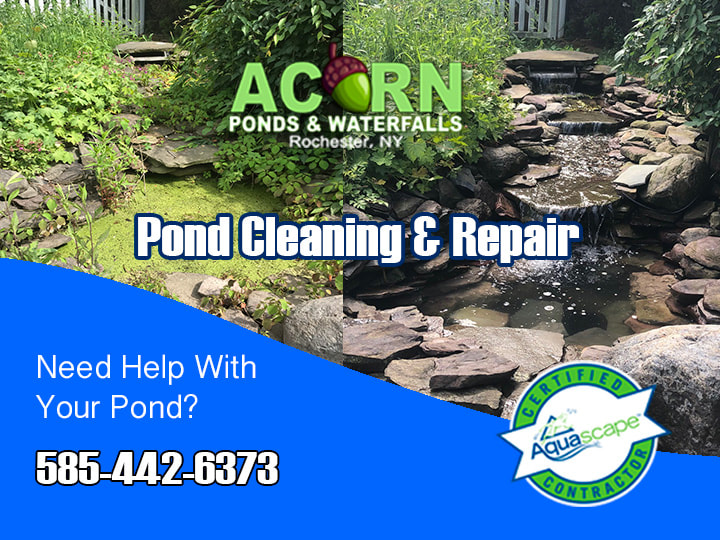 Pond-Water Feature Cleaning Services/Company Rochester NY