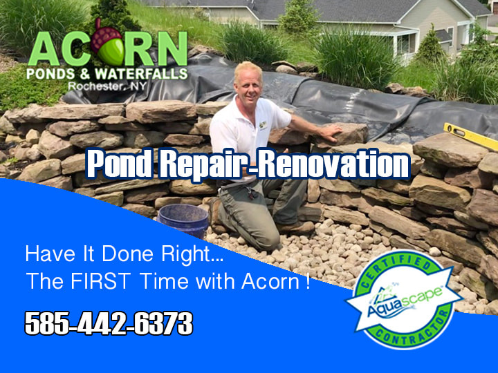 Pond & Water Feature Repair Services - Call Tom Now! 585-442-6373 