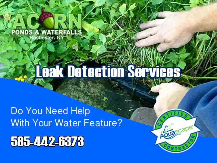 Pond-Waterfall Leak Detection-Repair Contractor/Company-Monroe County-Western-NY