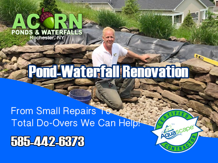 Pond-Waterfall Repair-Renovation Contractors-Rochester NY-Acorn Ponds