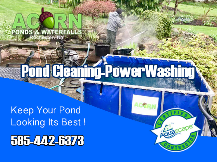Professional Pond Cleaning Services In Western NY Call Today 585-442-6373