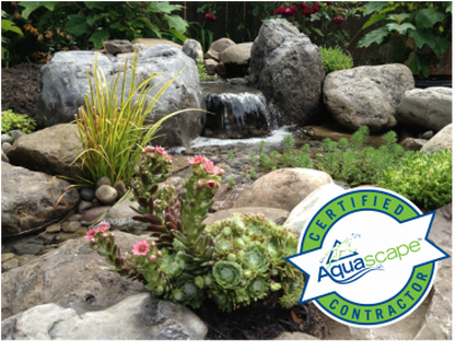 Go From Frustration To Relaxation With Acorn's Low Maintenance Ponds 