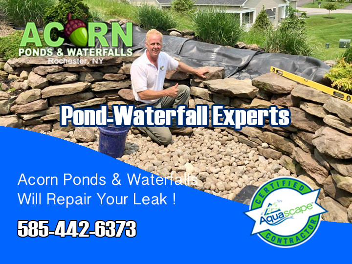 We Will Repair Your (NY) Pond-Waterfall (Leak)-Call ACORN 585-442-6373